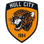 Hull City